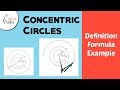 Concentric Circles and Their Properties