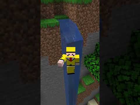 COSAS SIN SENTIDO QUE PUEDES HACER EN MINECRAFT