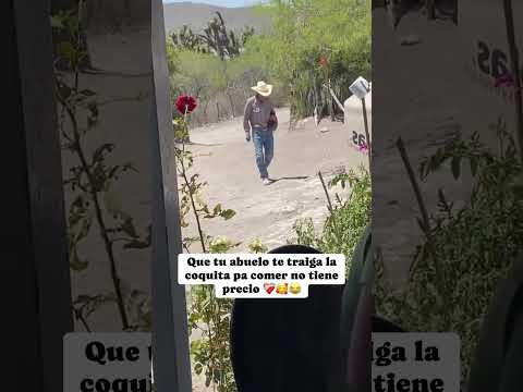 El mejor #viralvideo #viral