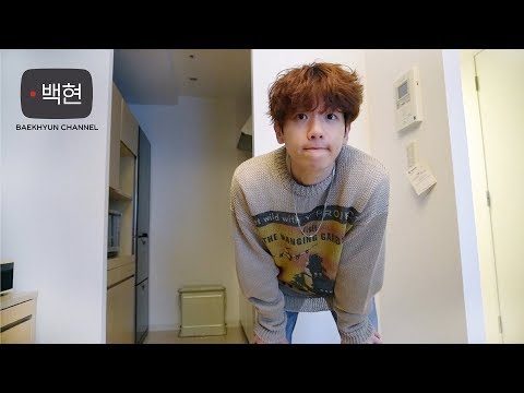 백현이의 브이로그 (첸백시매지컬서커스/나의여행템/노트북/일본)