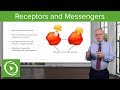 Cellular Signaling Mechanisms and Functions