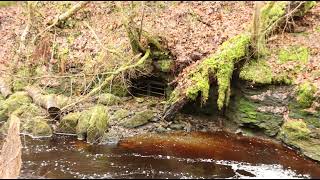 Hareshaw Linn