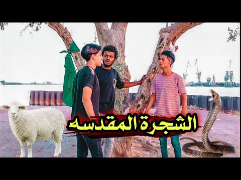 الشجرة المقدسه // فلم هادف #يوميات_سلوم