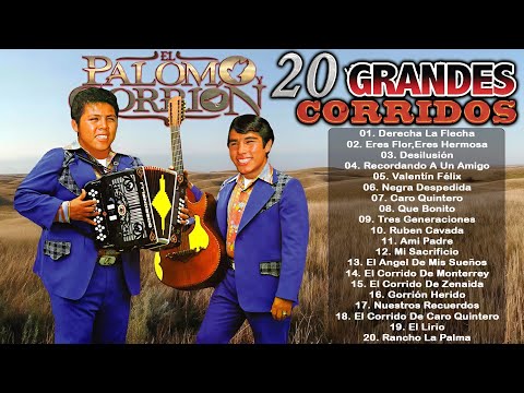 El Palomo y El Gorrion Mix 20 Exitos De Oro 🎸🎺 Corridos y Rancheras Mas Famosas 🌄🎺