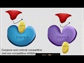 Enzyme Inhibition Mechanisms