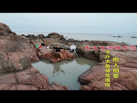 【阿向趕海】 天文大潮抽底潮坑 十多斤大魚瘋狂神龍擺尾 魚貨重達30斤大賣1200