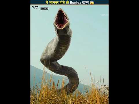 World's Most Dangerous Extinct Animals 😱 These Monsters Actually Ruled Earth Before Us!