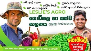 Home gardening, Home gardening, Organic gardening, Organic ,ගෙවතු වගාව ,gewathu wagawa ,kabanika