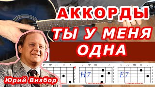 ТЫ У МЕНЯ ОДНА Аккорды 🎸 ЮРИЙ ВИЗБОР ♪ Разбор песни на гитаре без баррэ Аккомпанемент Для начинающих