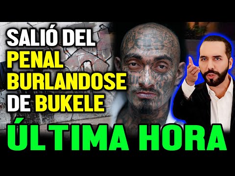 Salió de la cárcel y se burló de Bukele pero terminó de esta manera