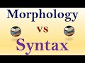 Understanding Syntax and Morphology
