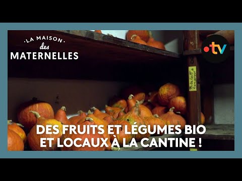 Des fruits et légumes bio et locaux à la cantine ! - La Maison des maternelles #LMDM