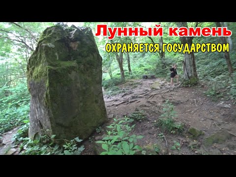 Свирское ущелье в Лазаревском / КУДА ПОЕХАТЬ В КРАСНОДАРСКОМ КРАЕ / ВОДОПАДЫ / ПРИРОДА / СКАЛЫ ГОРЫ