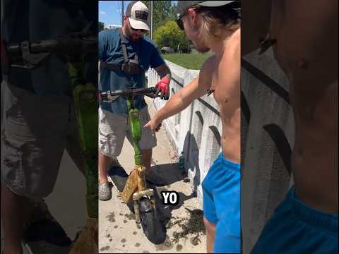 We Found A Lime Scooter Magnet Fishing