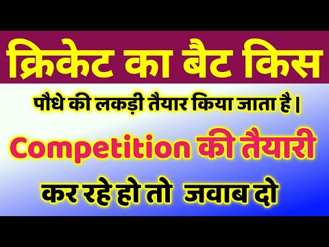 क्रिकेट का बैट किस पौधे की लकड़ी तैयार किया जाता है | cricket bat kis ped ki lakdi se banta hai