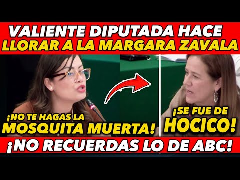 NO TE HAGAS LA MOSQUITA MUERT4! DIP. VALIENTE ENCARA A LA MARGARA ZAVALA Y LA EVIDENCIA ANTE MÉXICO