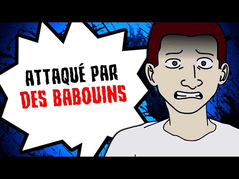 Des BABOUINS nous ont attaqués...