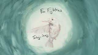 Foo Fighters - Today's Song (Audio)