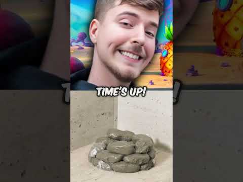 Who Made The Best House For Mr Beast?🏠