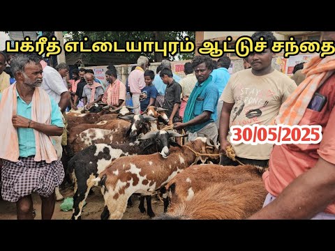 ## தூத்துக்குடி மாவட்டம் எட்டையாபுரம் ஆட்டுச் சந்தையின் நிலவரம்..