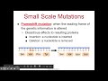 Exploring Adding and Subtracting Rational Expressions