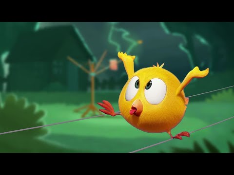 No Fear of Lightning | Where's Chicky? | Cartoon Collection in English for Kids | New episodes