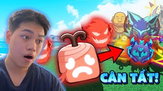 TÔI ĐÃ PHÁT HIỆN BÍ ẨN LỚN NHẤT CỦA TRÁI PAIN !!! | BLOX FRUITS | ROBLOX