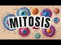 Mitosis and Cell Division Concepts