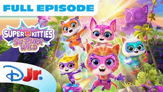 SuperKitties Full Episode "Mega Mouse / Wild Jungle"! 🌴🐾 | Season 3 Episode 1 |  @disneyjr