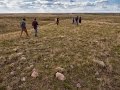 Landmark Project Wildlife Data Collection