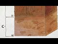 Soil Composition and Types in NC