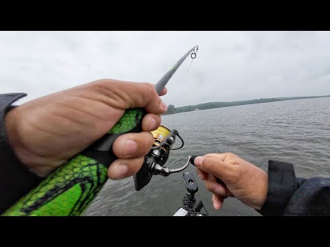 Pesca Y Cocina De Mojarras Gigantes
