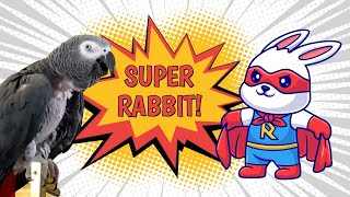 Super Rabbit vs. Whatever Rabbit: The Showdown Begins!