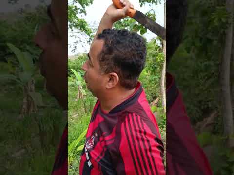 Aprendiendo de la naturaleza