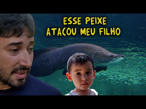 UM PEIXE MONSTRO ATACOU MEU FILHO!