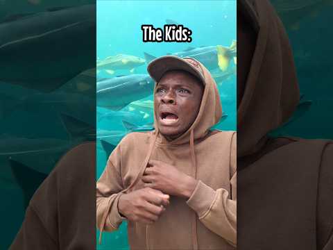 When kids go to the zoo