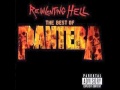 Cemetery Gates - Pantera (HQ Audio) Obrázok autora