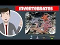 Invertebrate Phyla Characteristics