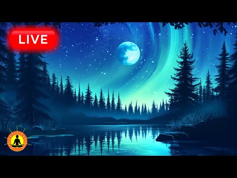 🔴 Relaxing Sleeping Music 24/7, Calm Music, Yoga, Sleep Meditation, Spa, Study Music, Sleeping Music