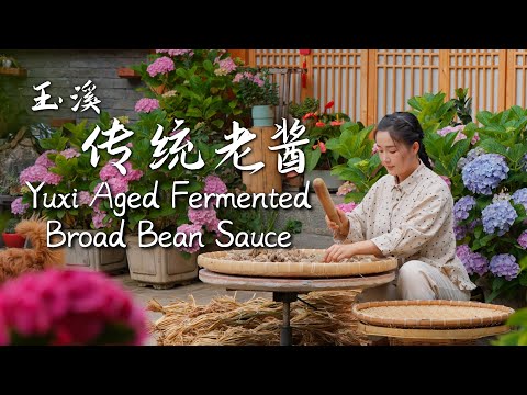 Yuxi Aged Fermented Broad Bean Sauce – The Soul of Yunnan Cuisine【滇西小哥】