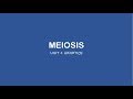 Meiosis and Genetic Variation Concepts