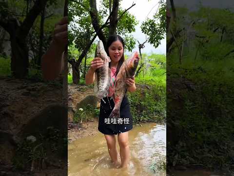পানির ভিতর থেকে বড় বড় মাছ ধরলাম 🤣🤣 #youtubeshorts #amazingsfacts #shorts