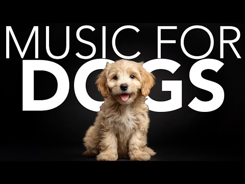 10 HOURS of Dog Relaxing Music 💖🦮 Soothing Dog Music for Sleep, Relaxation, and Anxiety Relief