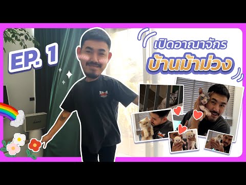 ม้าม่วง:เปิดบ้านEP1