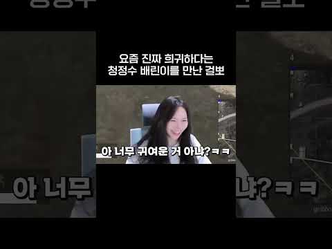 배린이 괴롭히려다가 그만...