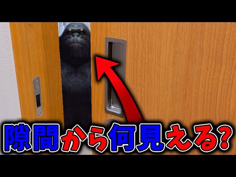 超高速で隙間を横切る物体を動体視力で当てまくるww