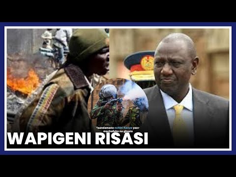 JE MTAZAMO WA WANAHARAKATI WA KENYA NI UPI/KUHUSU KAULI YA RAIS RUTO KUWAPIGA RISASI WAHARIBIFU
