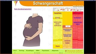 Schwangerschaft / HelmutPilharGHk