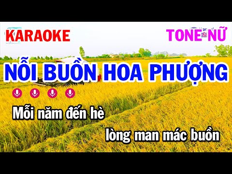 Nỗi Buồn Hoa Phượng Karaoke Nhạc Sống Tone Nữ