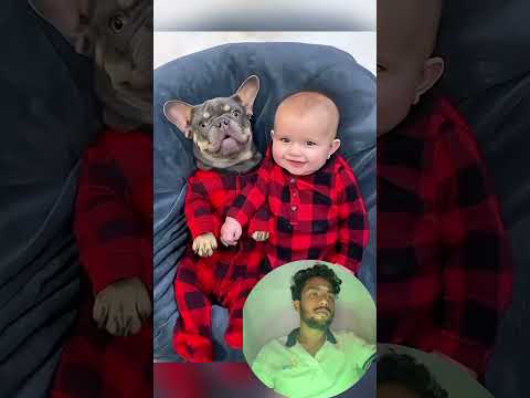 A touching story about a baby and a dog 🥰🥰🥰 #pet #cat #dog #cute #animals #foryou #fyp